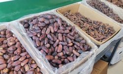 Kahramanmaraş’ta hurma tezgahlarında Ramazan yoğunluğu