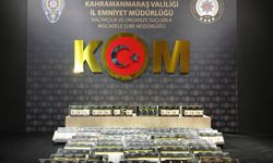 Kahramanmaraş’ta kaçakçılık operasyonu: kaçak telefon ve binlerce makaron ele geçirildi