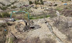 Bertiz'de 63 yıllık köprü çilesi bitiyor!