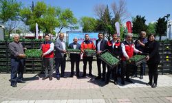 Kahramanmaraşlı üreticiye 650 bin hibe biber fidesi