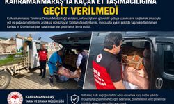 Kahramanmaraş'ta kaçak karkas et nakliyesine suçüstü baskın