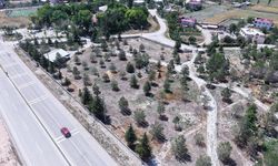 Kahramanmaraş Belediyesi, mezarlıklarda kapsamlı bakım çalışmalarına başladı
