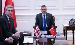 İçişleri Bakanlığı'nda Türkiye-Gürcistan temasları