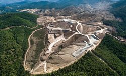 TEMA Vakfı: İklim Krizine Karşı Kaybedecek Zamanımız Kalmadı