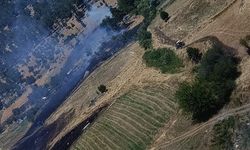 Kahramanmaraş'ta iki bölgede orman yangını paniği