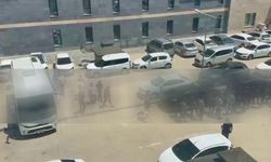 Kahramanmaraş merkezli 10 ilde dev sahte altın operasyonu! 220 milyonluk vurgun engellendi