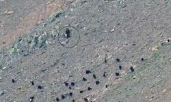 Kahramanmaraş’ta dağda mahsur kalan kadın bulundu
