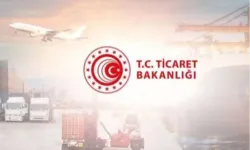 7 ayda 8,9 milyar TL'lik ek tahakkuk ve ceza... Cezalar geçen yıla göre yüzde 29 arttı