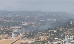 Kahramanmaraş'ta orman yangını çıktı