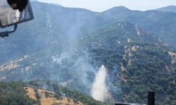 Kahramanmaraş’ta iki ayrı orman yangını kontrol altına alındı