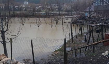 Tekir’i sel vurdu, Tarım arazileri su altında kaldı