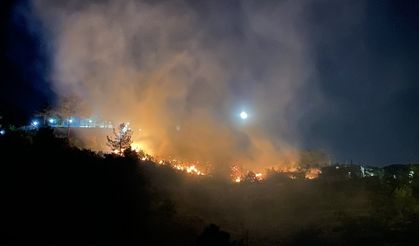 Kahramanmaraş'ta kazma bağları mevkiinde orman yangını