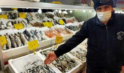 Kahramanmaraş’ta bir günde bakın kaç ton hamsi tüketiliyor