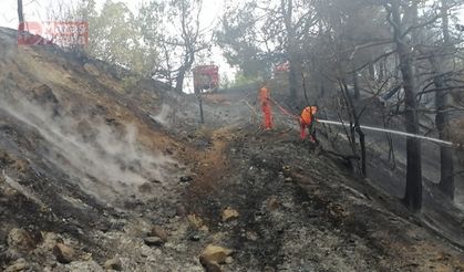 Göksun Beşoluk Mevkiinde Yangın