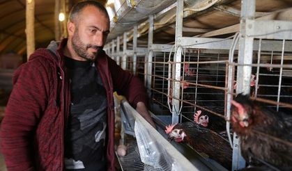 Çadırda Ürettiği Yumurtaları Türkiye'ye Pazarlıyor