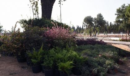 Dokuma’ya botanik bahçe kuruluyor
