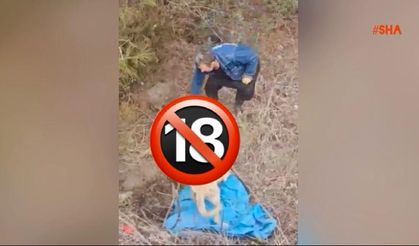 Andırın’da Toplu Köpek Ölümleri Tepki Çekti