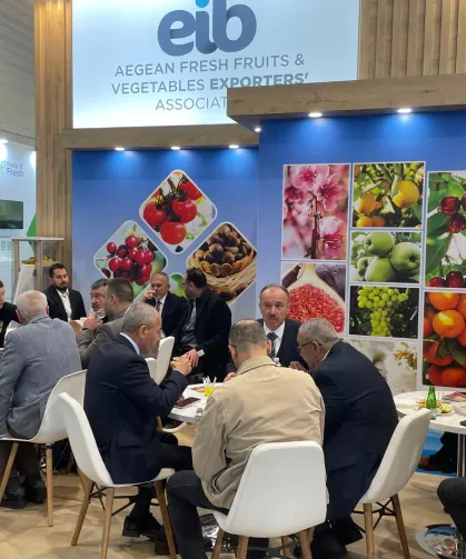 Yaş meyve sebze sektöründen Almanya'ya çıkarma