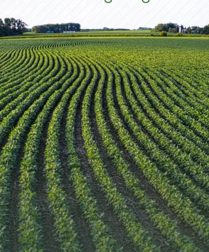 Tarım arazilerinin etkin kullanımı için hibe desteği