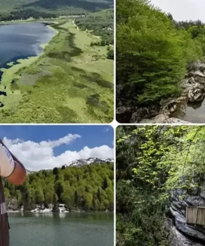 Doğa Koruma ve Milli Parklar Uzmanlığı için 'tez' zorunluluğu