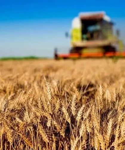 Kırsal kalkınmaya büyük destek... Tarım ve Orman'dan 30 milyon TL'ye kadar hibe!