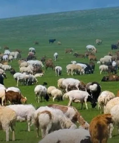 Kırsalda Bereket başvurularında son gün 30 Nisan