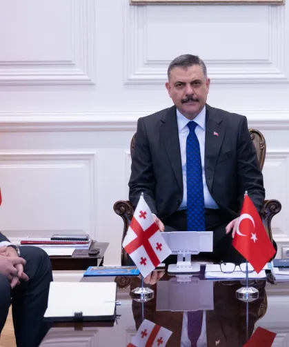 İçişleri Bakanlığı'nda Türkiye-Gürcistan temasları