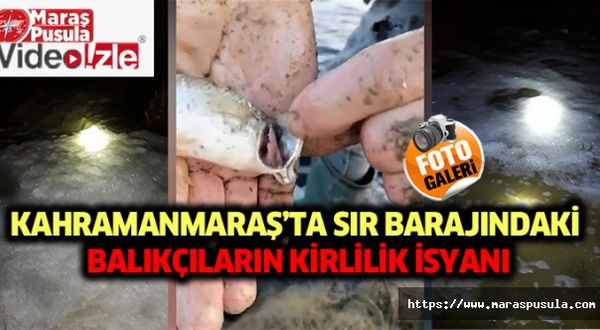 Sır barajındaki balıkçıların kirlilik isyanı, Allah rızası için gereğini yapın!