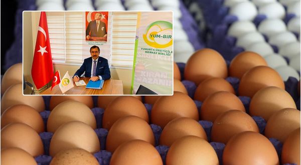 Yumurta sektörü, hayatta kalma mücadelesi veriyor!