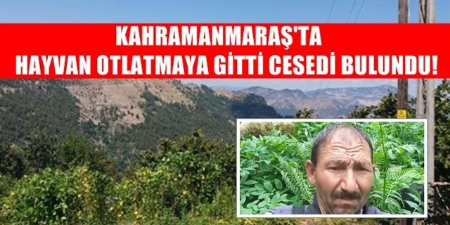 Kahramanmaraş'ta esrarengiz olay! Hayvan otlatmaya gitti cesedi bulundu
