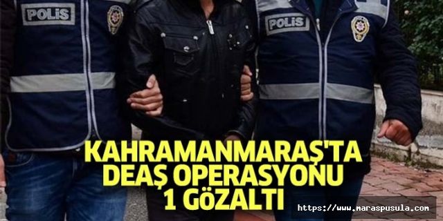 Kahramanmaraş'ta DEAŞ operasyonu, 1 gözaltı