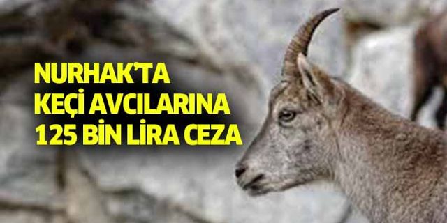 Nurhak’ta keçi avcılarına 125 bin lira ceza