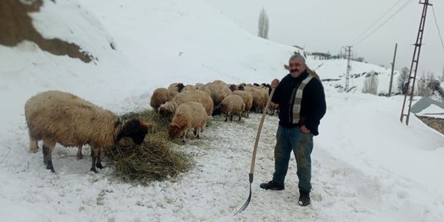 Kahramanmaraş'ta kar yağışı besicileri olumsuz etkiledi!