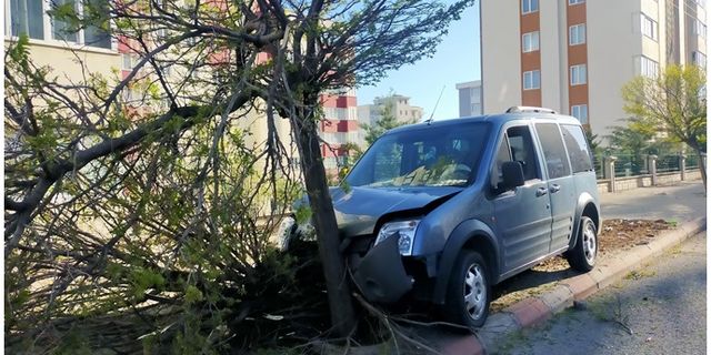 Kahramanmaraş'ta otomobilin çarptığı ağaç yerinden çıktı!