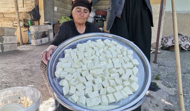 Pazarcık peyniri pazara hazırlanıyor