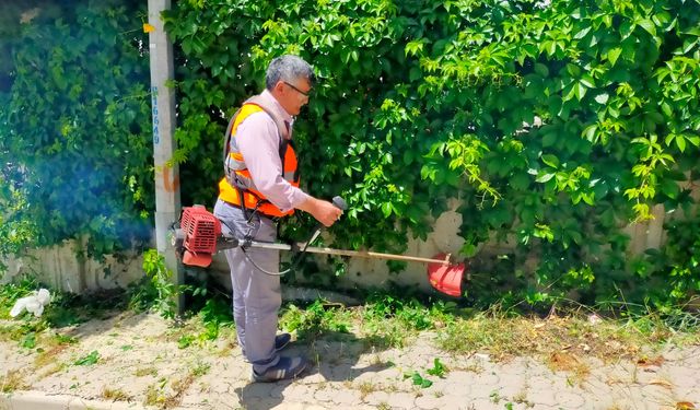 Onikişubat’ta yabani otlar temizleniyor, sokaklar estetik bir görünüme kavuşuyor