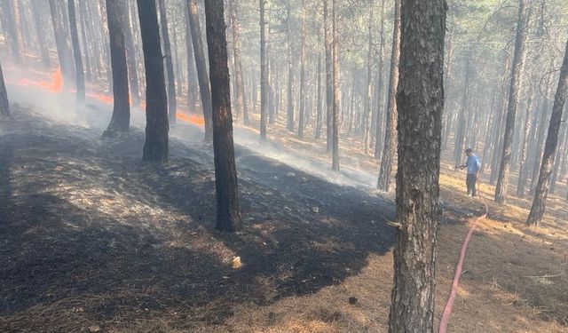 Kahramanmaraş'ta ormanlık alanda yangın çıktı