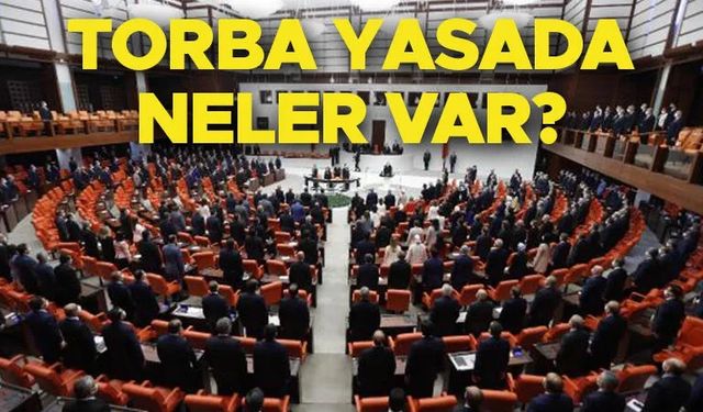 Kadro Çıkacak Mı? Ücretli Öğretmen, Belediye İşçisi, Taşeron, Kamu İşçisi, TYP’de SON DURUM