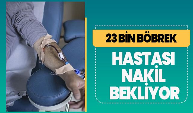 23 bin böbrek hastası nakil bekliyor