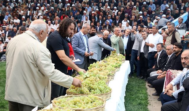 Bertiz’in En Güzel Üzümü Seçildi