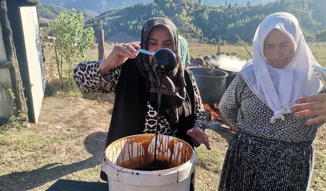 Andırın Yaylalarında Tescilli Andız Pekmezi Üretimi Başladı