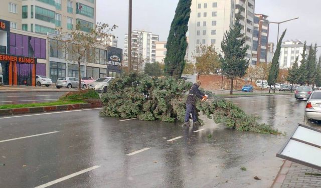 Kahramanmaraş’taki Fırtına Saatte 95 Kilometre Hıza Ulaştı