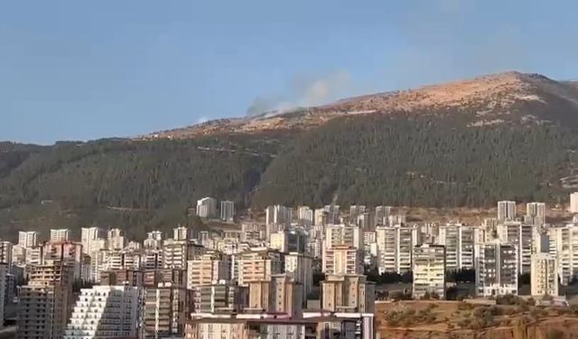 Kahramanmaraş Onikişubat'ta orman yangını