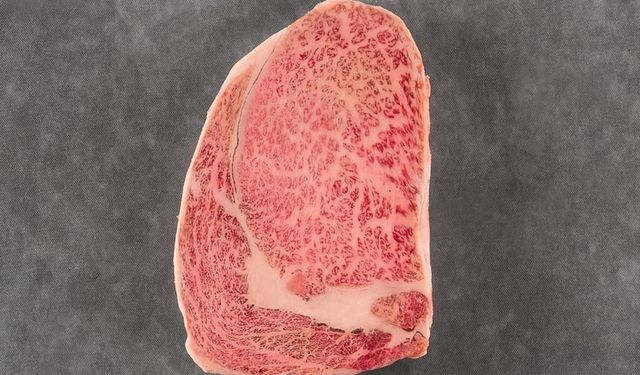 Wagyu Nedir?