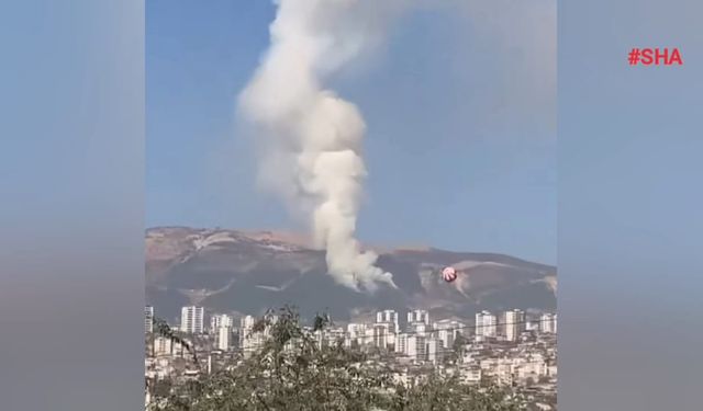 Kahramanmaraş’ta orman yangını