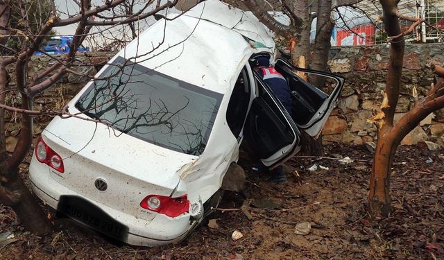 Göksun’da otomobil ağacı çarptı: 1 yaralı