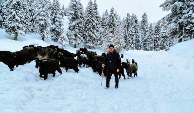 Kahramanmaraş'ta kar etkili oldu