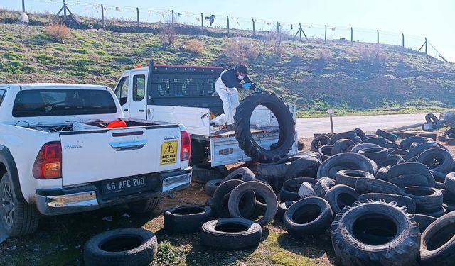 Büyükşehir, Halk Sağlığı İçin Zararlılarla Mücadelesini Kararlılıkla Sürdürüyor