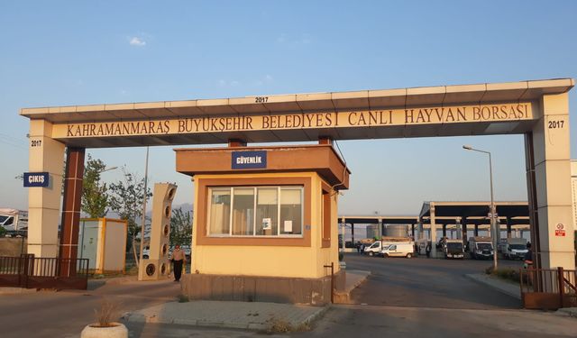 Kahramanmaraş Kurbanlık Hayvan Satış Fiyatları Belirlendi
