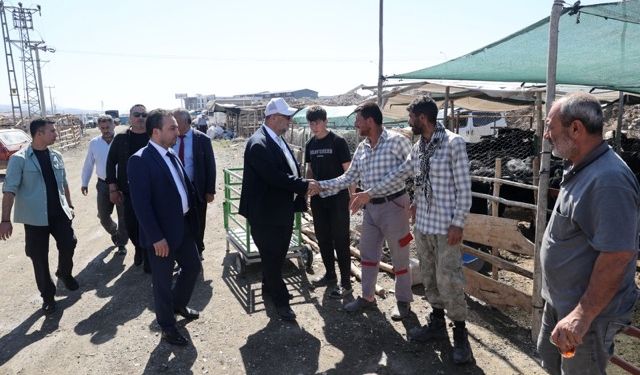 Dulkadiroğlu’nda Kurbanlık Satışı İçin Hijyenik ve Güvenli Altyapı Hazırlandı